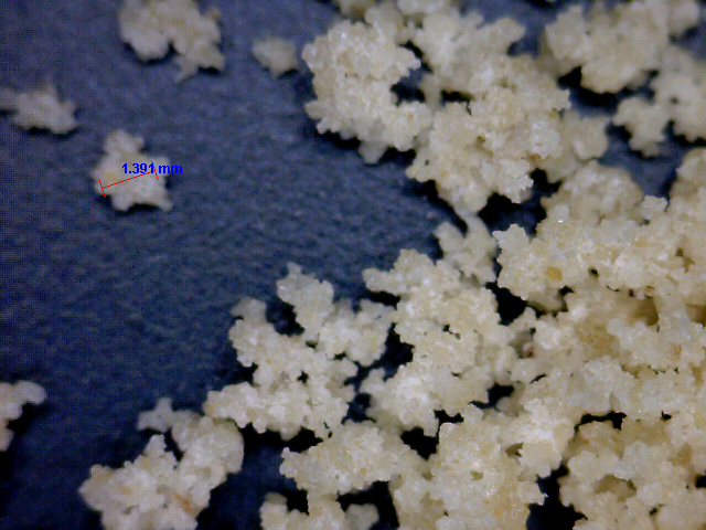 雪花状颗粒 雪花状颗粒